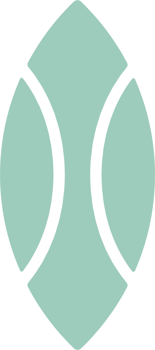 COCOON Logo
